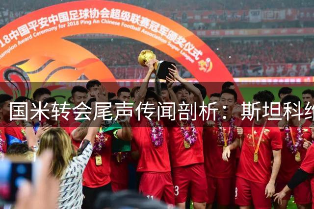 国米转会尾声传闻剖析：斯坦科维奇去留与第五前锋可行性