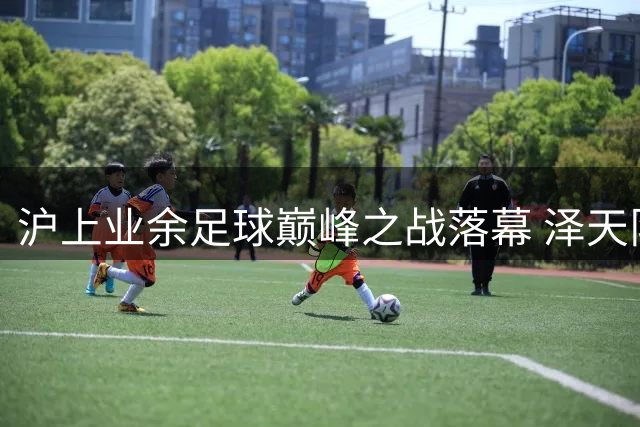 沪上业余足球巅峰之战落幕 泽天队蝉联上超联赛冠军