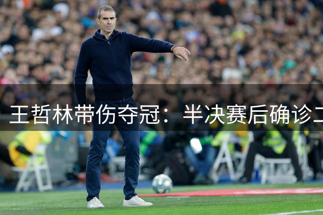 王哲林带伤夺冠：半决赛后确诊二级撕裂